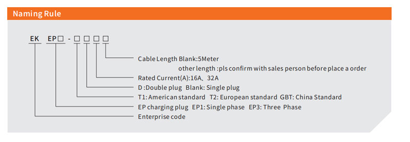 T2 Female Plug with Cable